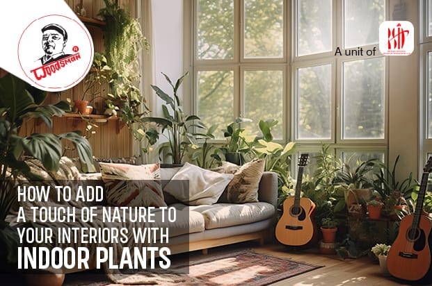 How to Add a Touch of Nature to Your Interiors with Indoor Plants